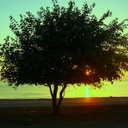 Daniel McNair - @dmcnair81 - Twitter