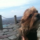 dee Riggs - @deRigger - Twitter