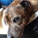 david boots rooney - @BootsRooney - Twitter