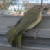 Jeffrey Sabiston (@jeffmacsabby) Twitter profile photo