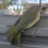 Profile picture of Jeffrey Sabiston