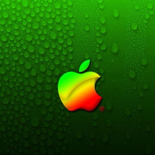 oezkaya57's profile picture. 