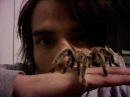 willwinberg's profile picture. 