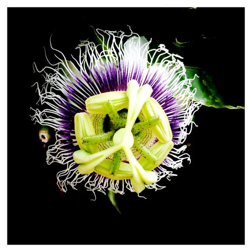 extrm's profile picture. 