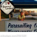 Paula Feldman - @jjp448 - Twitter