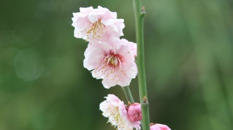 wangzhe1975's profile picture. 命里有时终须有，命里无时莫强求！愿自由、民主、中国与我们同在！