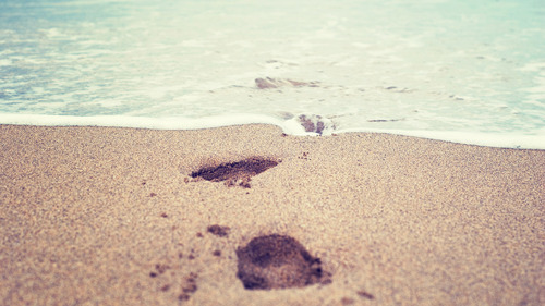 kweenfv's profile picture. 