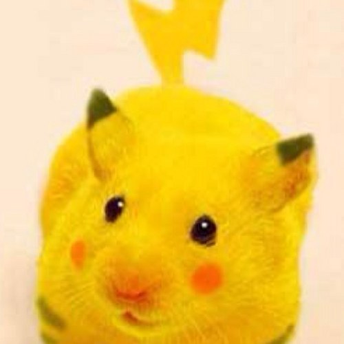 sharleen_anders's profile picture. Fan de Fey, Fan de Monica Bellucci, Kim Hyun Jung Fan, amo la música, las peliculas, la computación, el anime y también la vida ♥