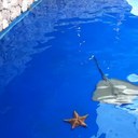 Alicia larez - @AciliaLarez - Twitter