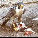 John Brewer - @tiburon180 - Twitter