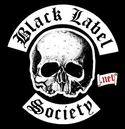 SigfridoPujols's profile picture. 