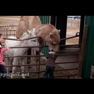 knox_problems's profile picture. in it for the laughs