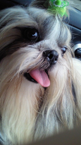 tyatune's profile picture. 