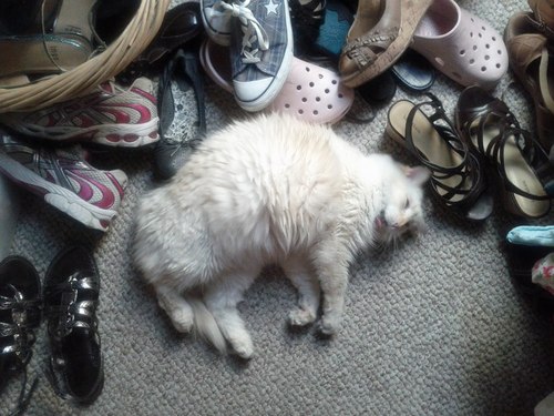 jperalta11's profile picture. 