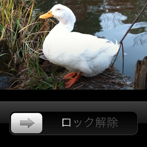 ryon1226's profile picture.