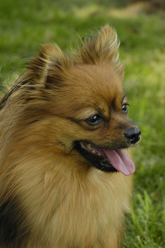 StarDrifter13's profile picture. 