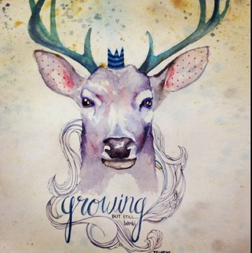 elnegrorulfo's profile picture. Apoyemos a la verdad no dejemos que un puñado de escoria nos quite el pais ,difundamos la verdad con compromiso.