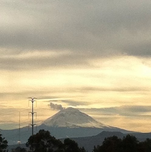 tet0s's profile picture. 