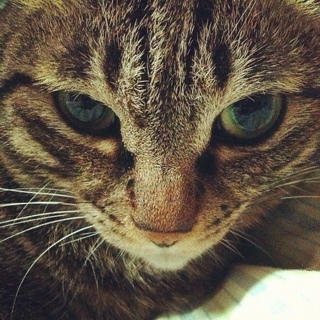 move_you0's profile picture. 