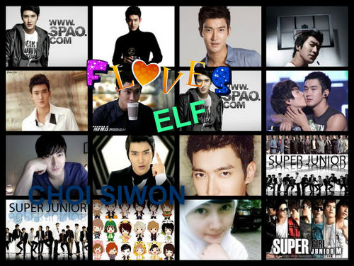 FEBY_GAGA_SUJU's profile picture. follow me 
i follow back #openfollow #teamfollowback #autofollow please follow back 

•̃͡-̮•̃͡)( •̃͡-̮•̃͡) (^Ő^)/ ŐĶĂŶ......!!! ( `з´)_,/*(x,☉) | [¬_ ¬!!]