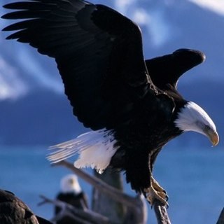 jonatha41504617's profile picture. 