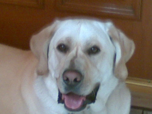 tequichela's profile picture. anti PRIAN