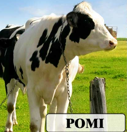 POMI_Industri's profile picture. Pomi Industri ApS er en virksomhed, der har dygtiggjort sig i at producere speciel maskiner til landbruget, der vil gøre hverdagen langt nemmere end tidligere.