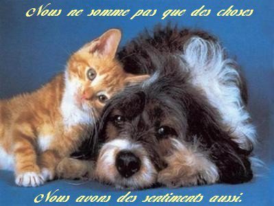 Hello1706's profile picture. Manager marketing.
Aime la nature, les animaux, la musique,les personnes franches... Bref passionnée par la vie en général.
