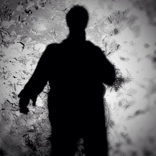 Chevillon Bruno Profile