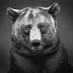 Black Bear Lodge (@blackbear_lodge) Twitter profile photo