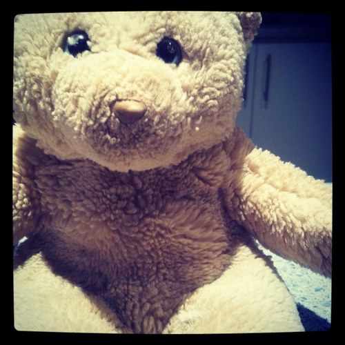 Twitter profile picture for @SnowyBear