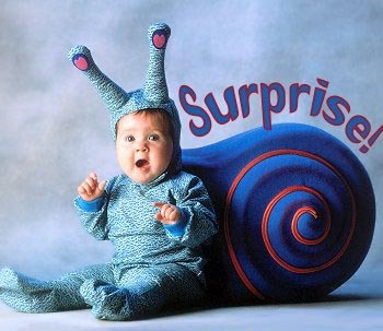 UzmaKazmi2's profile picture. 