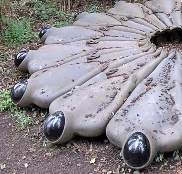 rfictus's profile picture. 