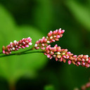 Diane Millard - @DianeMillard - Twitter