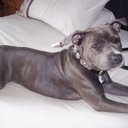 Misty Priest - @MistyPriest1 - Twitter