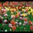 bjc4100's profile image