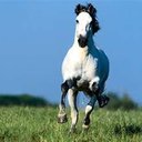 edgar willis - @edgarwillis - Twitter