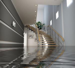 24/7 Emergency Response,
Over 25 Years Experience,
Insurance Claim Specialists,
We pay up to 500$ Deductible,
Discounts for Non-Insured Water Damage