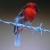 Katia Aumailley (@kaumailley) Twitter profile photo