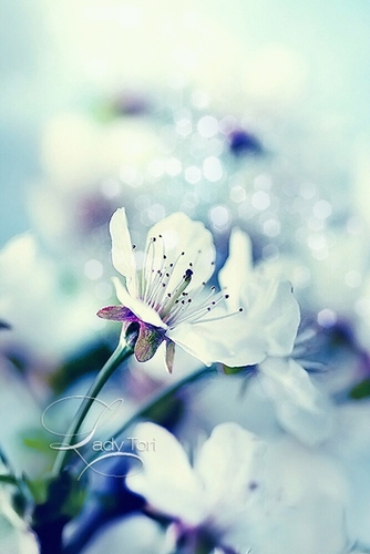 neojung2's profile picture. 