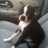 robclark06's profile image