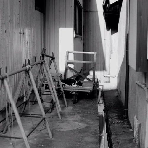 CirquedeK's profile picture. なにげなしに目に入った写真をあげてます。 テーマに統一感はありません。よろしくお願いします。仲良くしてやってください。