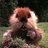 BradBund's profile image