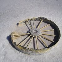 Liselotte Mayer (@durat) 's Twitter Profile