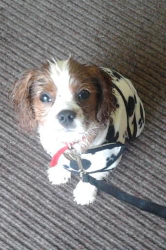 clairea1080's profile picture. 