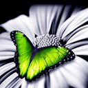 Pam Graf - @coupongraf - Twitter