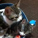 Heather Sprouse - @hsprouse88 - Twitter