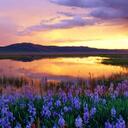 Jared Jacobs - @DJMammon - Twitter