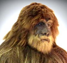 Bgfootwhisperer's profile picture. Bigfoot whisperer, Chupacabra walker and sea monster handler