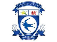 humphries195's profile picture. i'm a big cardiff city fan and i love music and Brfm